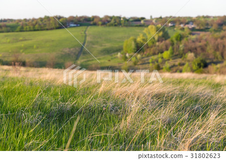 Rural summer pasture sunset landscape in Ukraine. Rural summer pasture sunset landscape in Ukraine. 31802623