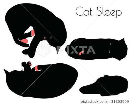 cat silhouette in Sleep Pose 31803909