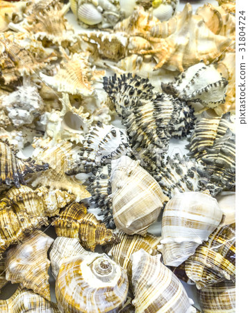 Souvenirs shop 31804724