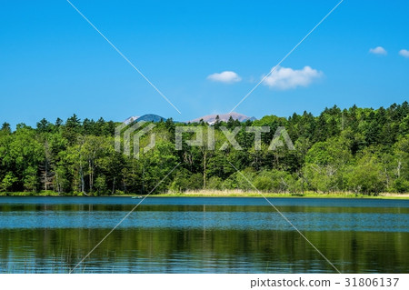 Hyoutan swamp of early summer (Akan-cho, Kushiro city) 31806137