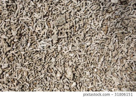 interesting texture from a closeup of coral rock interesting texture from a closeup of coral rock 31806151