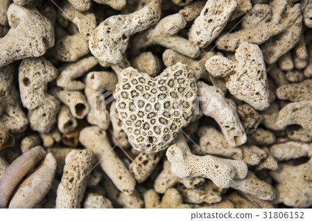 Coral shape like heart 31806152