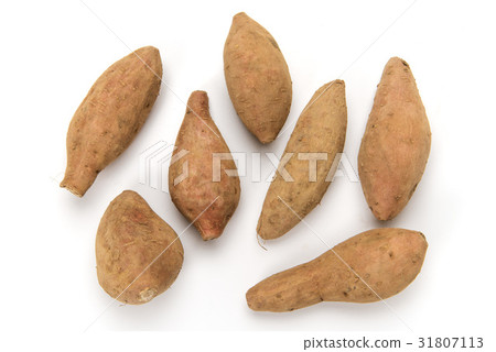 Anno potato Anno potato 31807113