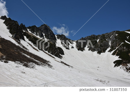 Senjakikikaru Senjakikikaru 31807350