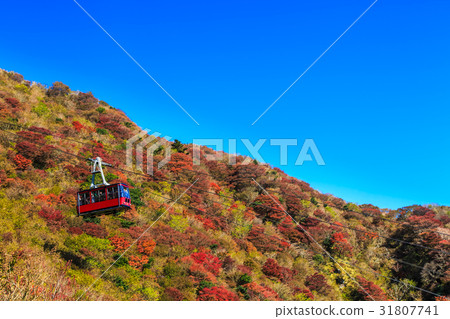 Autumn leaves of Unzen Nitada Pass (ropeway) Autumn leaves of Unzen Nitada Pass (ropeway) 31807741