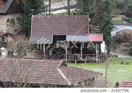 Rustok村莊在水仙村生活的仙女 31807796