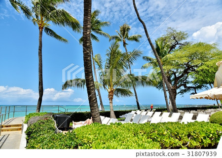 Holidays in Hawaii 31807939