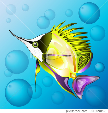 the yellow and nosy sea fish the yellow and nosy sea fish 31809052