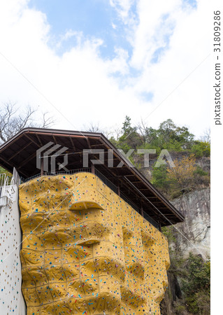 Rock Climbing Facilities Citizen's Forest HASEDA Garden Rock Climbing Facilities Citizen's Forest HASEDA Garden 31809286