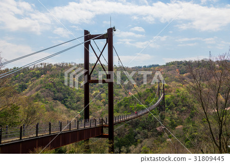 Star's Branco citizen's forest HASEDA garden Star's Branco citizen's forest HASEDA garden 31809445