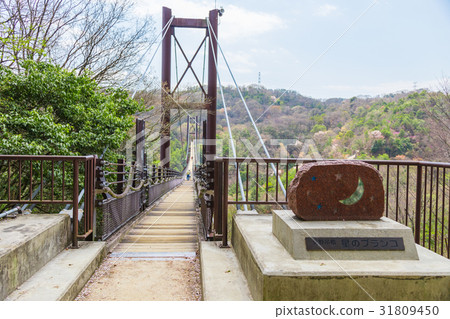Star's Branco citizen's forest HASEDA garden Star's Branco citizen's forest HASEDA garden 31809450