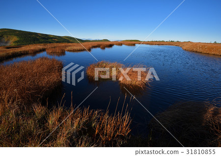 Ikenedake的Ikedan Ikenedake的Ikedan 31810855