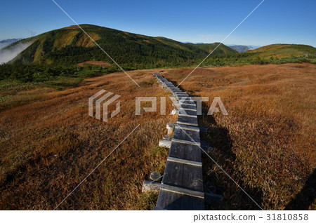 從Ikenodake看到的Hiragatake山 從Ikenodake看到的Hiragatake山 31810858