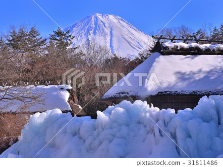 西湖野鳥森林公園和富士山-778544 西湖野鳥森林公園和富士山-778544 31811486