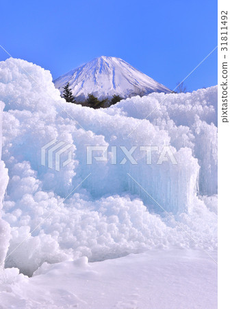 西湖野鳥森林公園和富士山-778550 31811492
