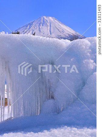 西湖野鳥森林公園和富士山-778551 31811493