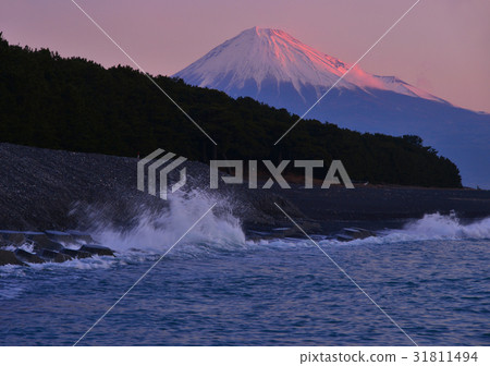 美穗海岸和富士山 -  88460 31811494