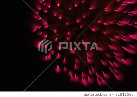 煙花專注於中風拍攝 煙花專注於中風拍攝 31811593