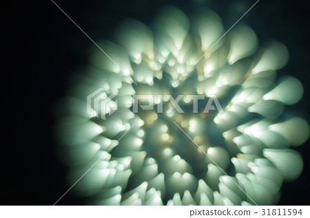 煙花專注於中風拍攝 31811594