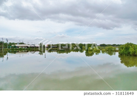 泰國曼谷大都會王國農村風景,Baan Kuantian區風景 泰國曼谷大都會王國農村風景,Baan Kuantian區風景 31811649