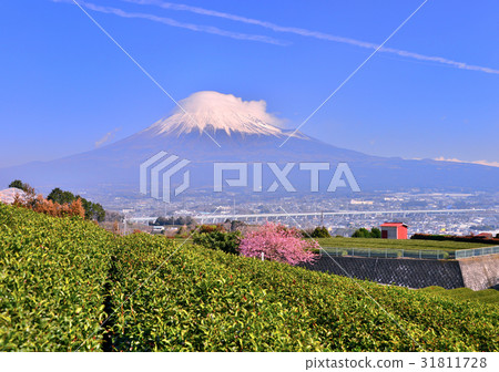 Landscape from Mount Iwamoto-60215 31811728
