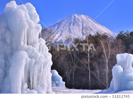 西湖野鳥森林公園和富士山-778529 西湖野鳥森林公園和富士山-778529 31811745