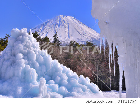 西湖野鳥森林公園和富士山-778538 31811754