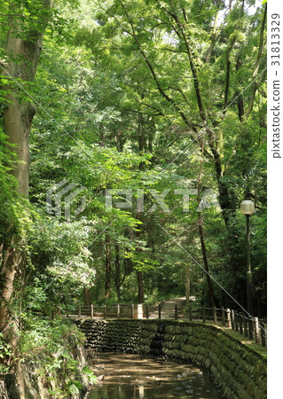 Nanzi Gorge Valley Park (2) Nanzi Gorge Valley Park (2) 31813329
