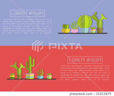 a succulent plants and Cactus 31813875