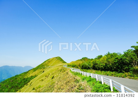 瓶森林森林公路 瓶森林森林公路 31814392