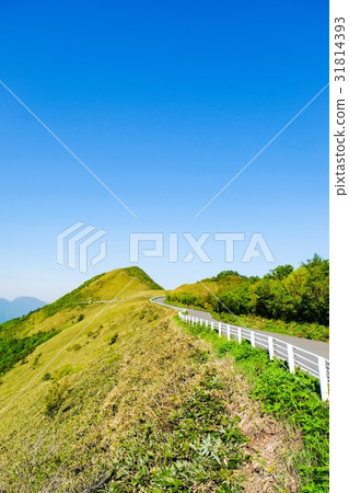 瓶森林森林公路 瓶森林森林公路 31814393