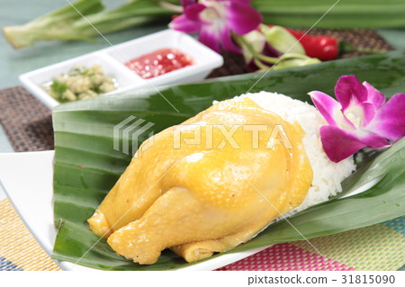 steamed chicken steamed chicken 31815090