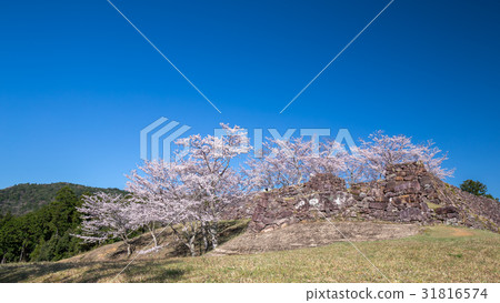 Akagi Castle Ruins of Spring Akagi Castle Ruins of Spring 31816574