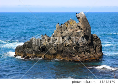 A rock near Yunomi Point. 31818479