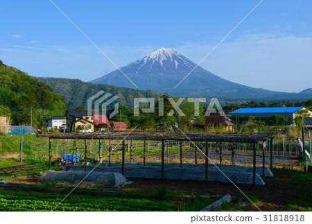 山梨富士山和農田 31818918