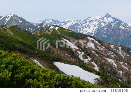 初夏的山脈北阿爾卑斯山的矛頭和銀座桌 31819108