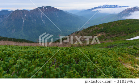 Northern Alps Early Summer Norikura and Yakedake, Kasumigatake 31819463