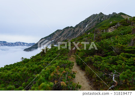 初夏Nishihodakatake的北阿爾卑斯山 初夏Nishihodakatake的北阿爾卑斯山 31819477