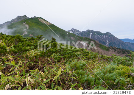 初夏Nishihodakatake的北阿爾卑斯山 初夏Nishihodakatake的北阿爾卑斯山 31819478
