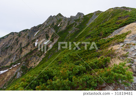Northern Alps of early summer Nishihodakatake 31819481