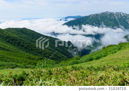 Northern Alps Ninomi-dake and lotus dake 31819728