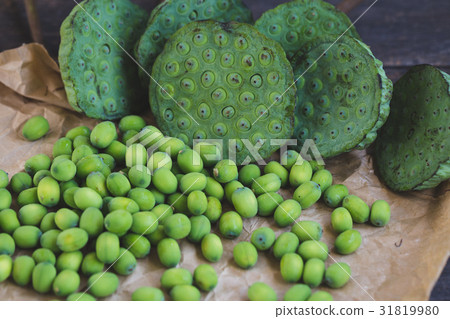Lotus Seeds 31819980