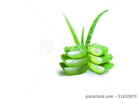 aloe with aloe sliced isolated on white background. aloe with aloe sliced isolated on white background. 31820978