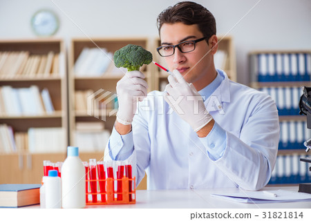 Scientist working on organic fruits and vegetables 31821814