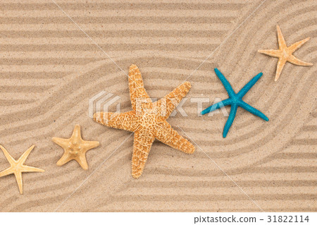 Starfish and a zigzag from the sand. Starfish and a zigzag from the sand. 31822114