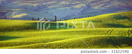 Tuscany, evening sun Tuscany, evening sun 31822590