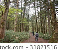 Kamikochi 31823516