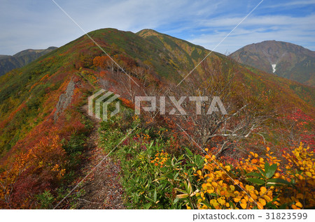 View from Mt. Kurakurayama toward Mt. Mt. Nakanodake 31823599