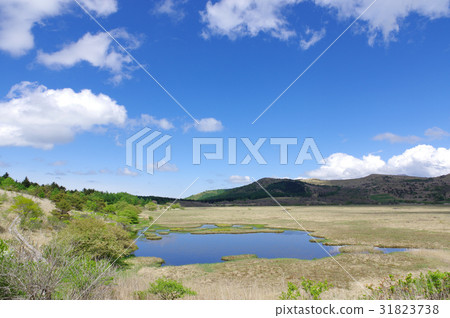 Yashima Mogara Yashima Mogara 31823738