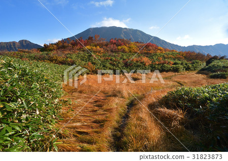 Nakanodake在從Hyuga山薑領域看的早晨 31823873